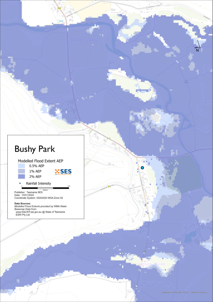 Bushy Park close up flood map